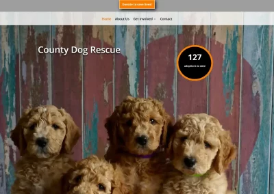 County Dog Rescue
